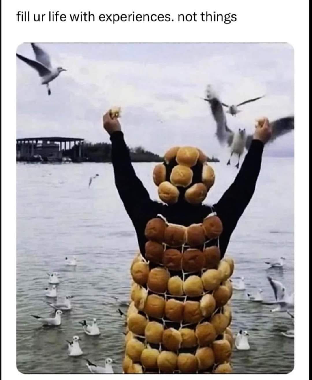 15 Birding Memes That Will Have You Chirping With Laughter 6 Fill your life - birding memes