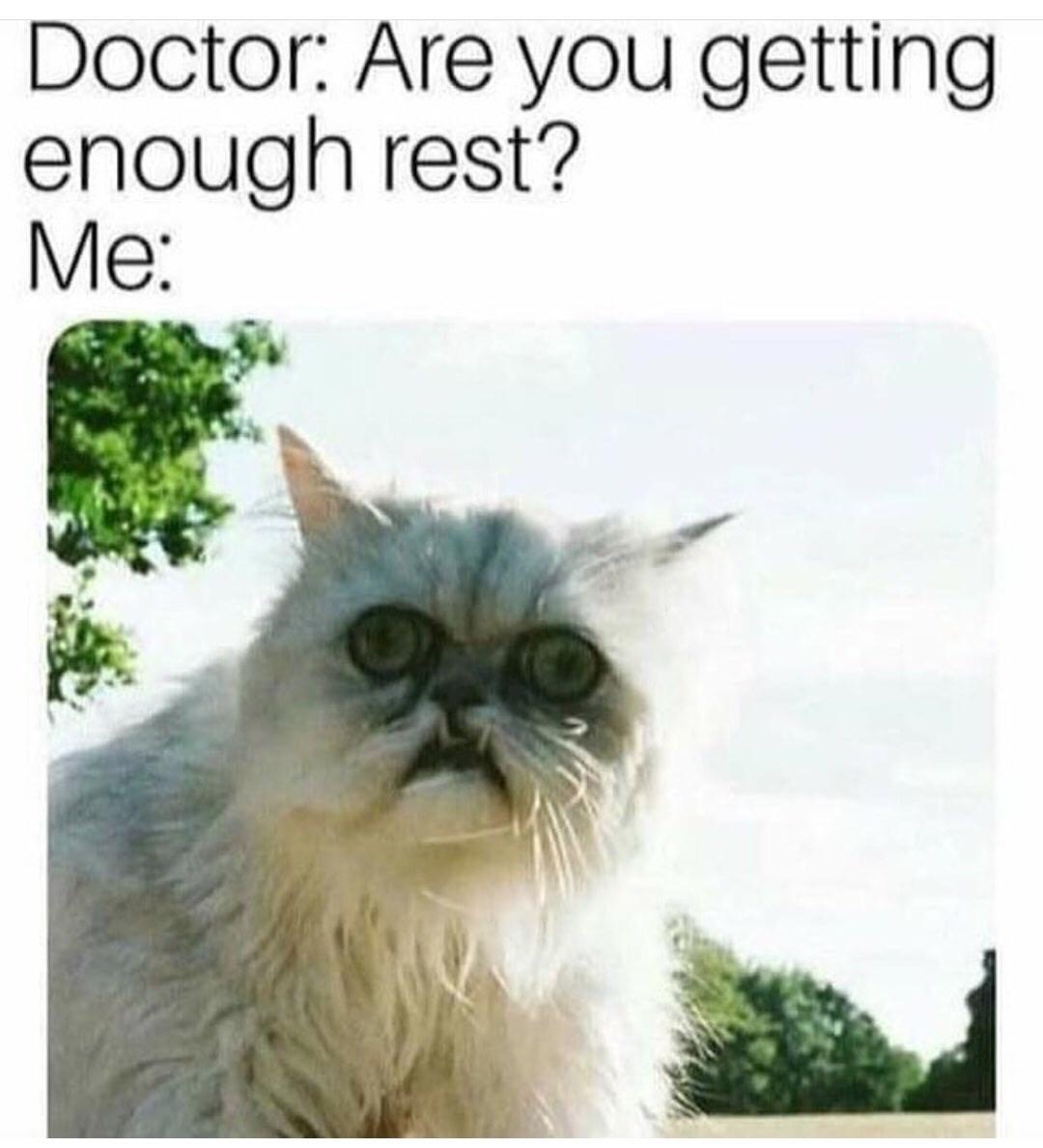 15 Seriously Funny Memes for a Good Time 5 Getting enough rest - seriously funny memes
