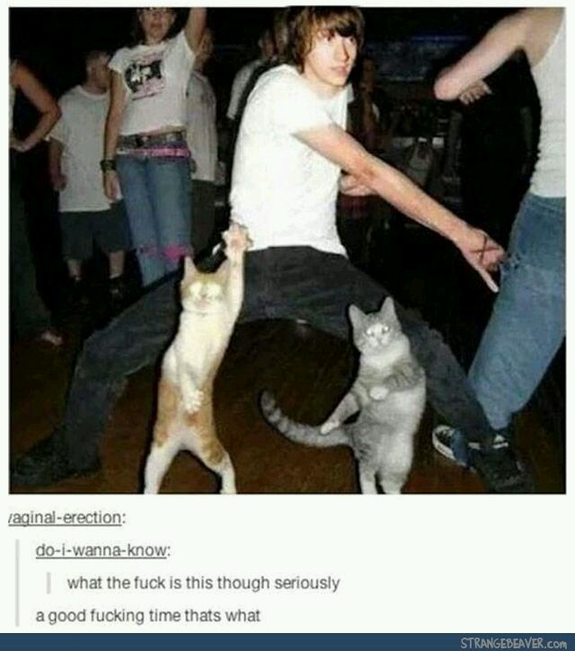 20 Entertaining Memes for a Quick Laugh Break 9 Good time - Entertaining Memes