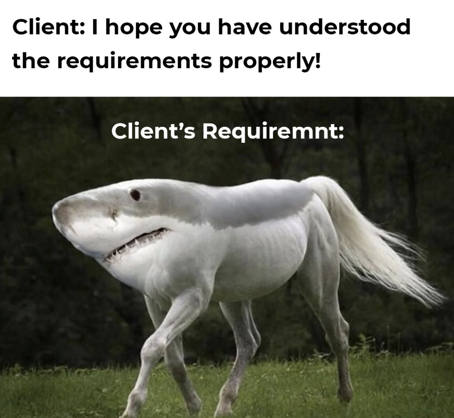 20 Client Memes for International Client Day 6 I hope you have uderstood the requirement - client memes