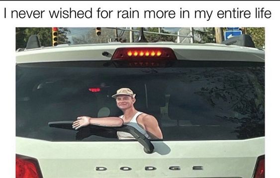 When Life Gives You Lemons, Make A Meme: 25 Memes to Cope with Adversity 18 I never wished for rain