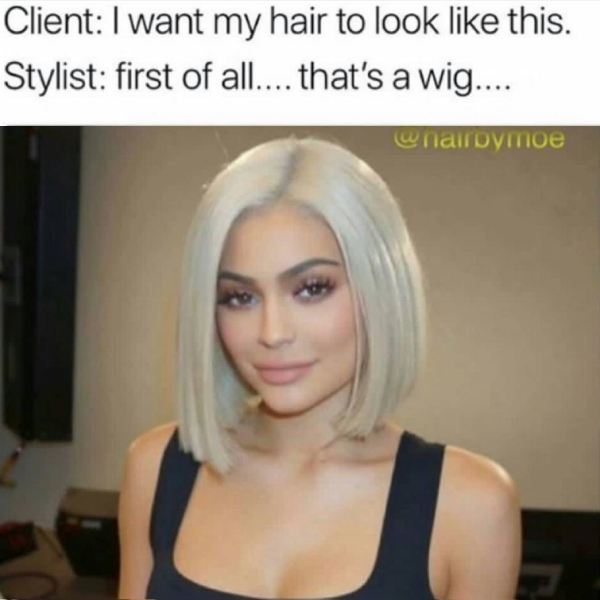 20 Client Memes for International Client Day 7 I want my hair to look like this - client memes