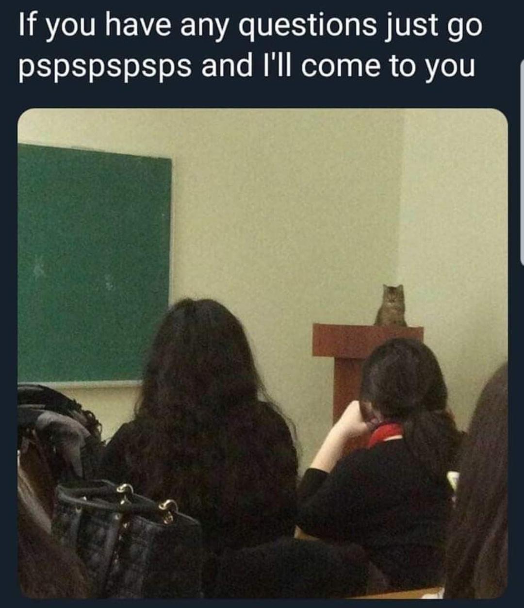 15 Memes for Anyone Who Needs a Good Laugh 8 If you have any question