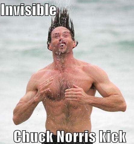 40 Chuck Norris Memes That Will Make You Chuckle 33 Invisible
