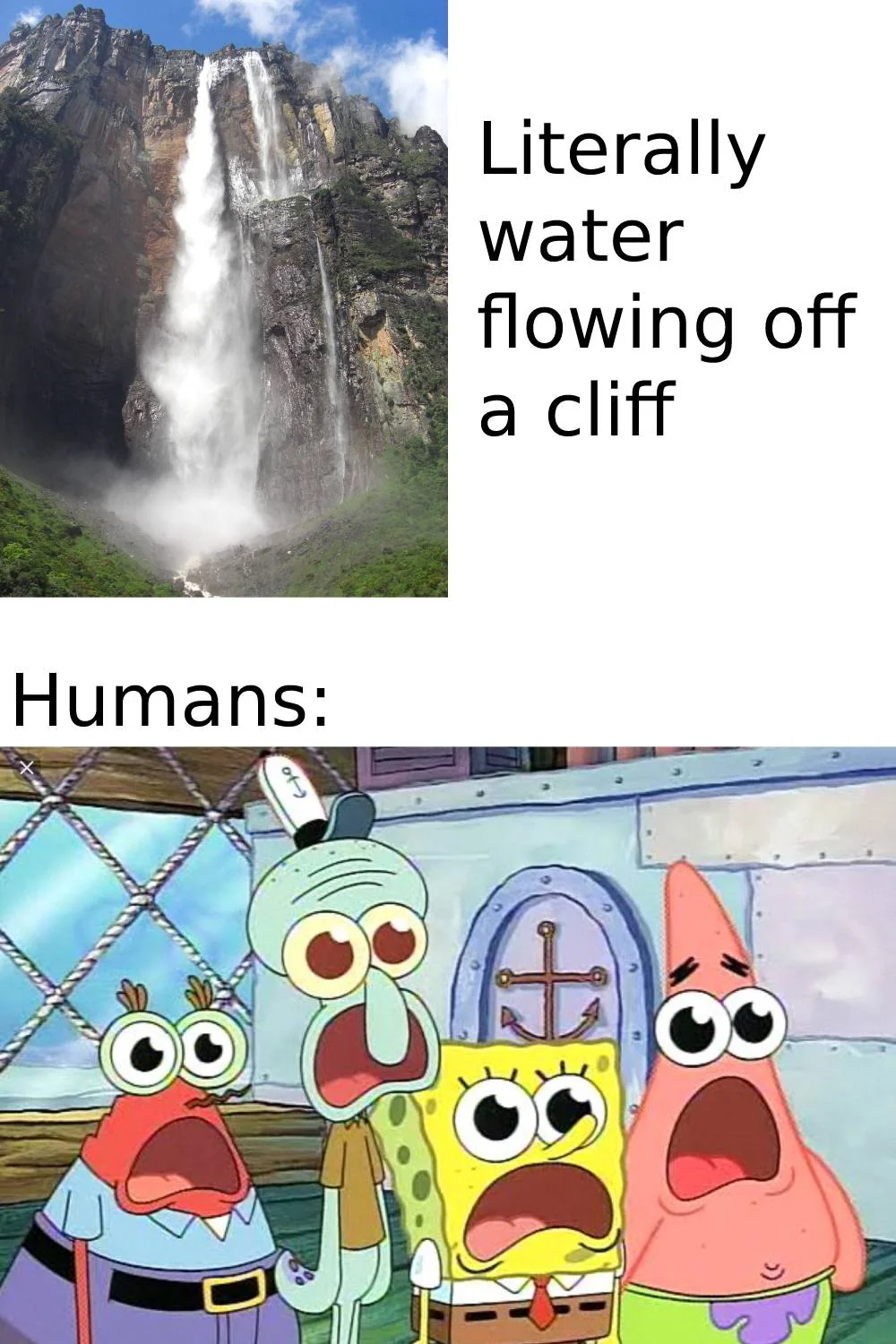 20 Water Memes to Dive into this World Water Day 9 Much water, such wow - water memes