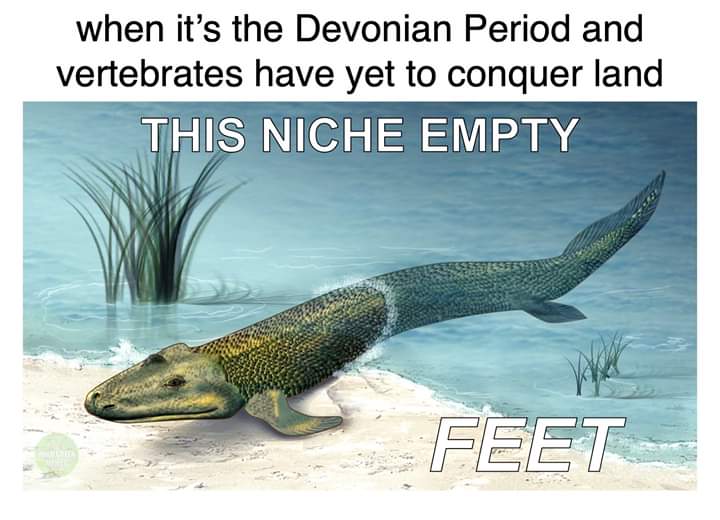 20 Hilarious Animal Memes: Because Sometimes Humans Just Aren't Funny Enough 13 Niche empty - hilarious animal memes