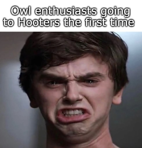 15 Birding Memes That Will Have You Chirping With Laughter 13 Owl enthusiasts - birding memes