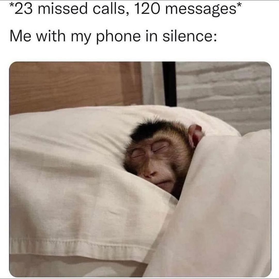 15 Memes to Look on the Brighter Side 7 Phone on silence