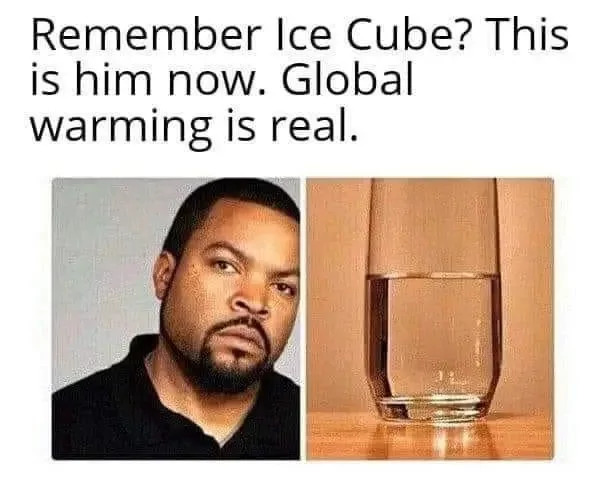 20 Water Memes to Dive into this World Water Day 11 Remember ice cube - water memes
