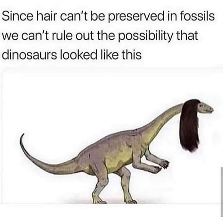 20 Hilarious Animal Memes: Because Sometimes Humans Just Aren't Funny Enough 15 Science hair - hilarious animal memes
