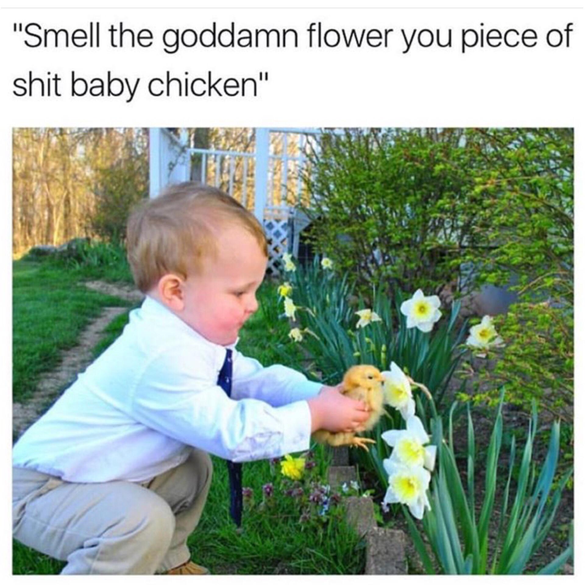 15 Memes for Anyone Who Needs a Good Laugh 12 Smell the flower