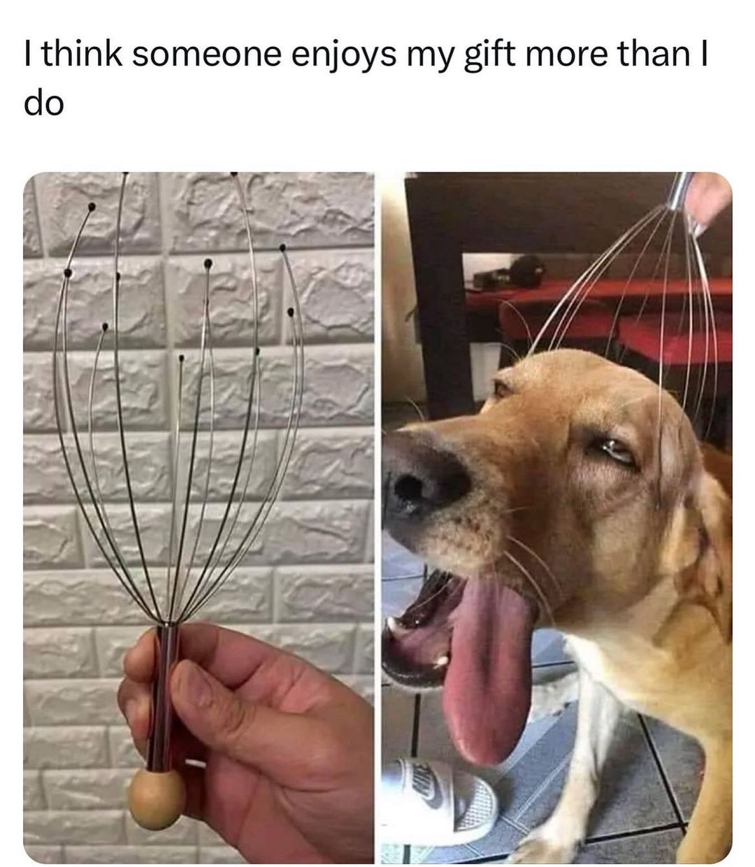 15 Memes to Look on the Brighter Side 9 Someone enjoys my gift
