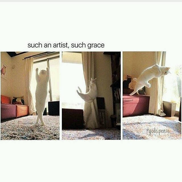 20 Entertaining Memes for a Quick Laugh Break 16 Such an artist - Entertaining Memes