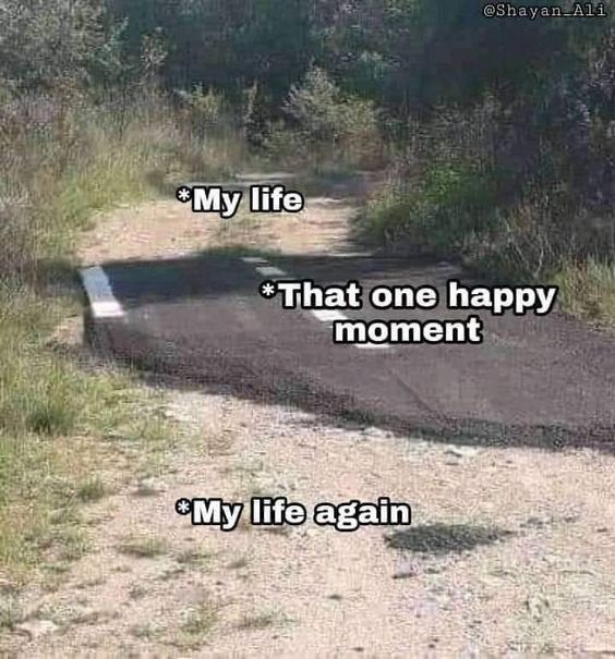 When Life Gives You Lemons, Make A Meme: 25 Memes to Cope with Adversity 24 That one happy moment