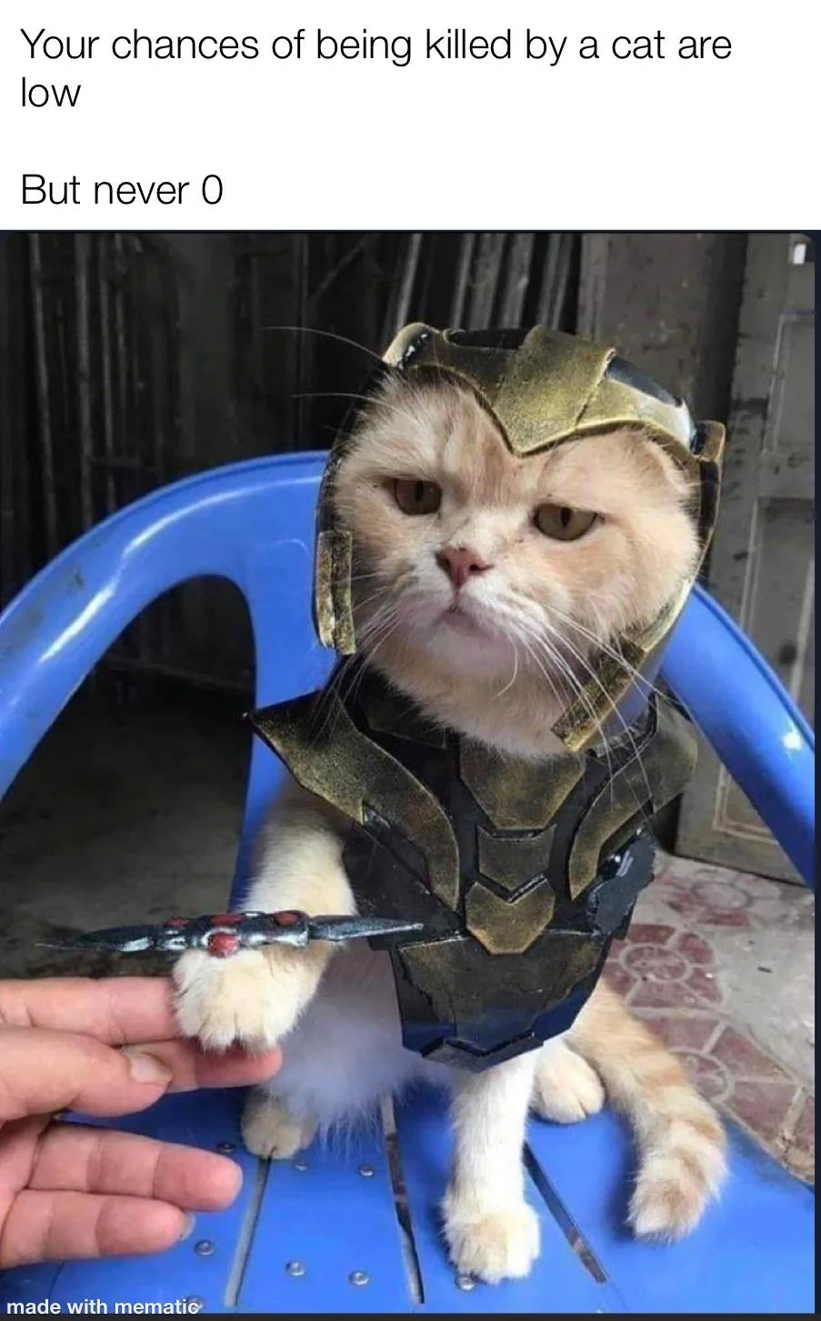 20 Images That Show Chances Of You Getting Killed By A Cat Are Low, But Never Zero 21 Theyll never be zero - getting killed by a cat
