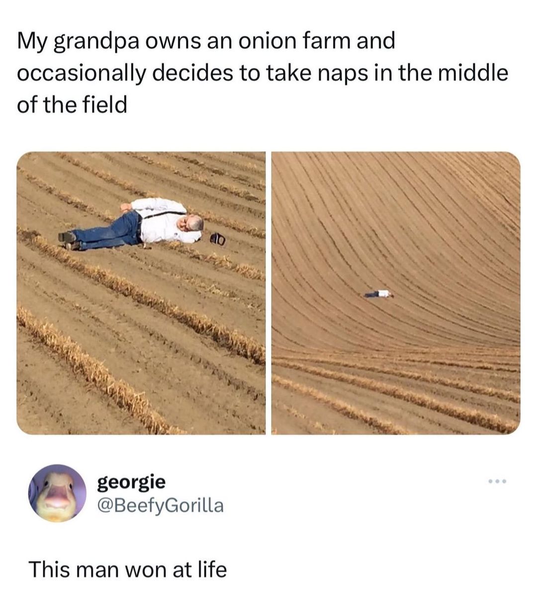 15 Memes to Look on the Brighter Side 12 This man won at life