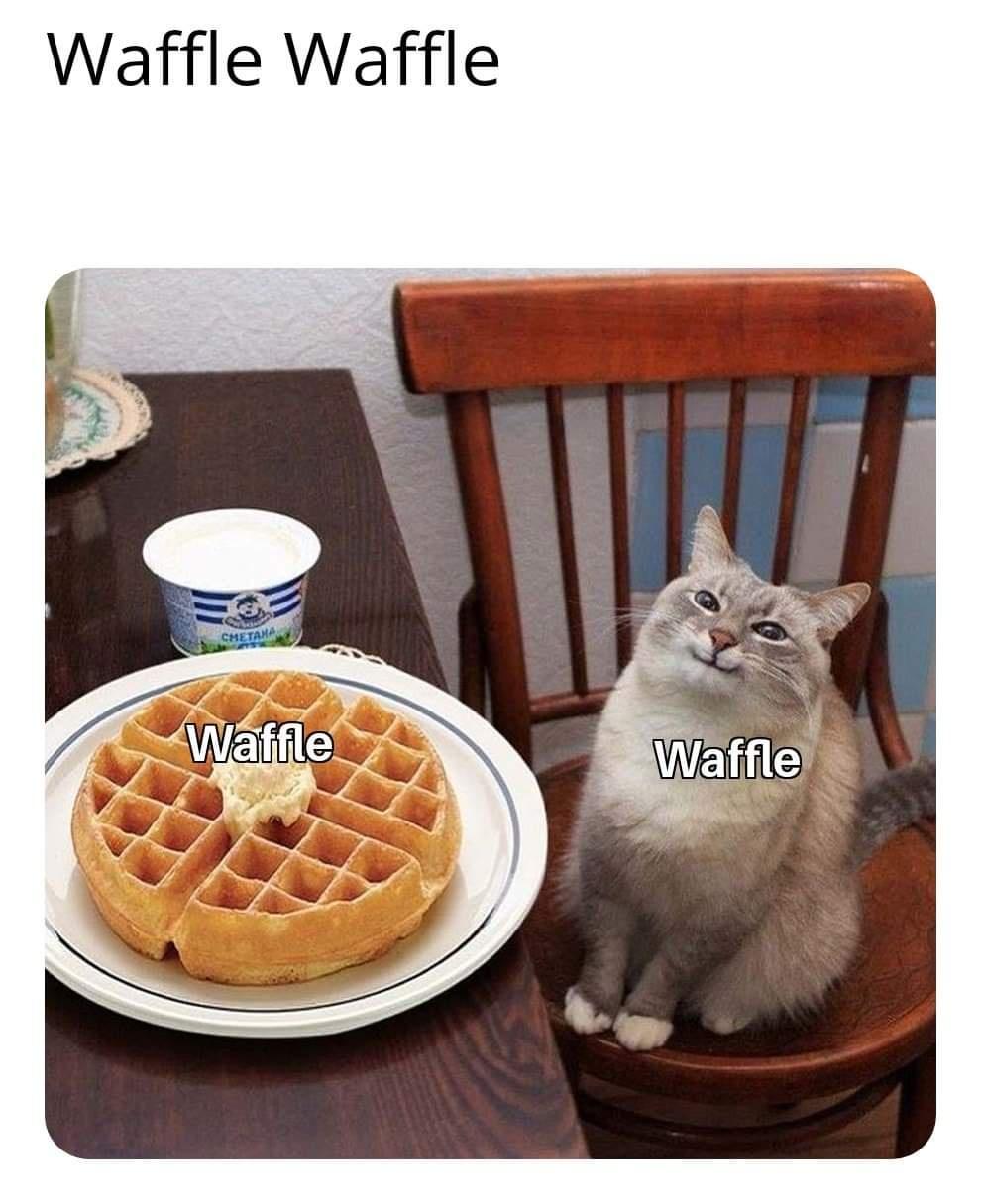 20 Waffle Memes Perfect for International Waffle Day - Funny