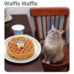 Waffle memes for international waffle day - FG.jpg