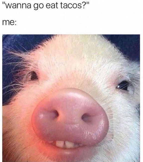Wanna eat tacos - Iconic Memes