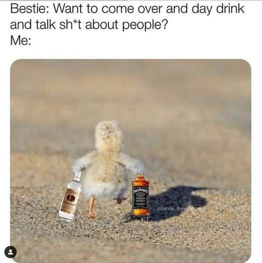 20 Funny Animal Pics That Were Destined to be Memes 18 Want to comeover - funny animal pics
