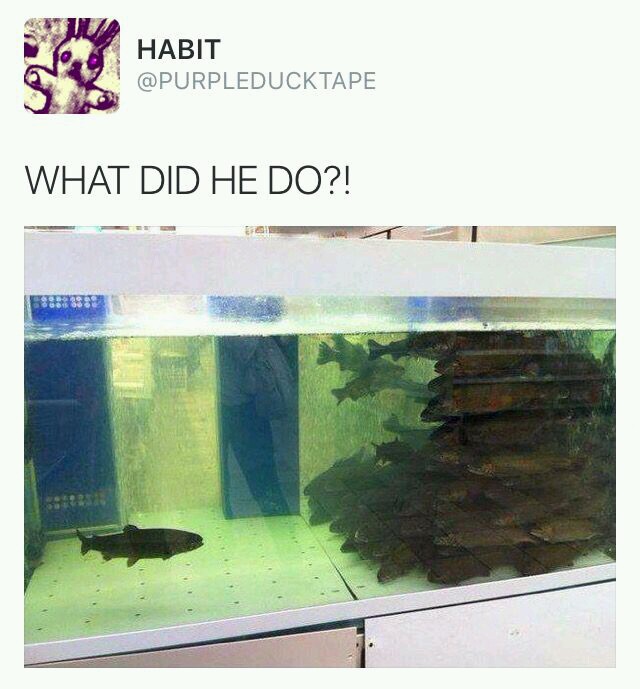 20 Entertaining Memes for a Quick Laugh Break 18 What did he do - Entertaining Memes