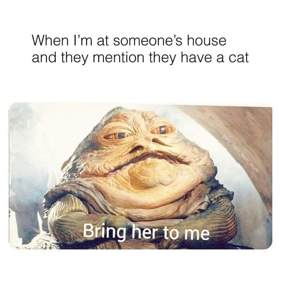 11 Memes You Can't Scroll Past Without a Chuckle 11 When I'm at someone house