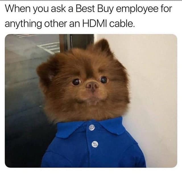 20 Animal Memes Featuring The Most Unpredictable Animal Antics 19 When you ask