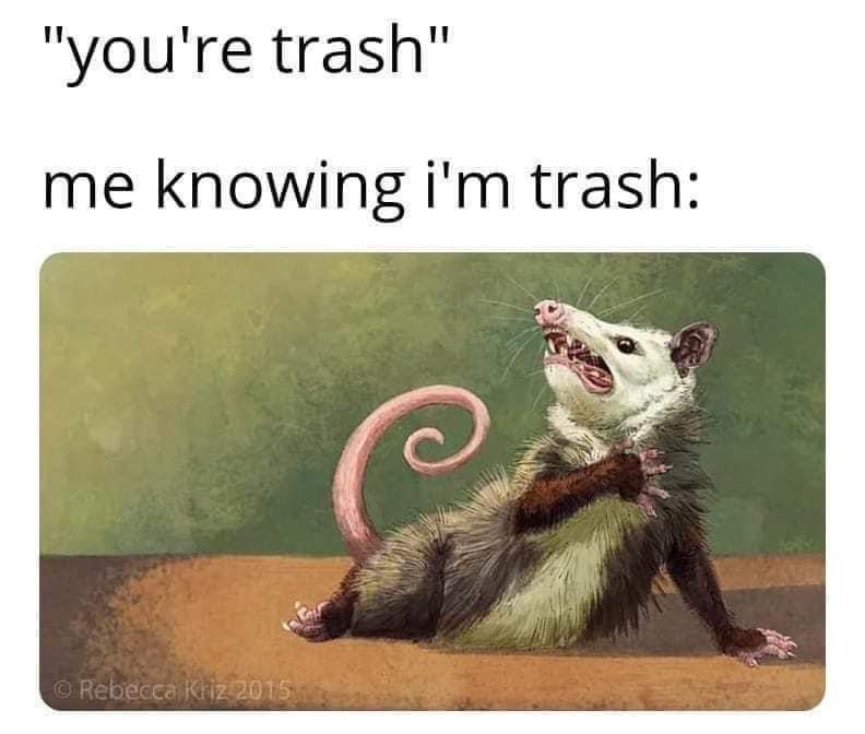 15 Memes for Anyone Who Needs a Good Laugh 15 Youre trash