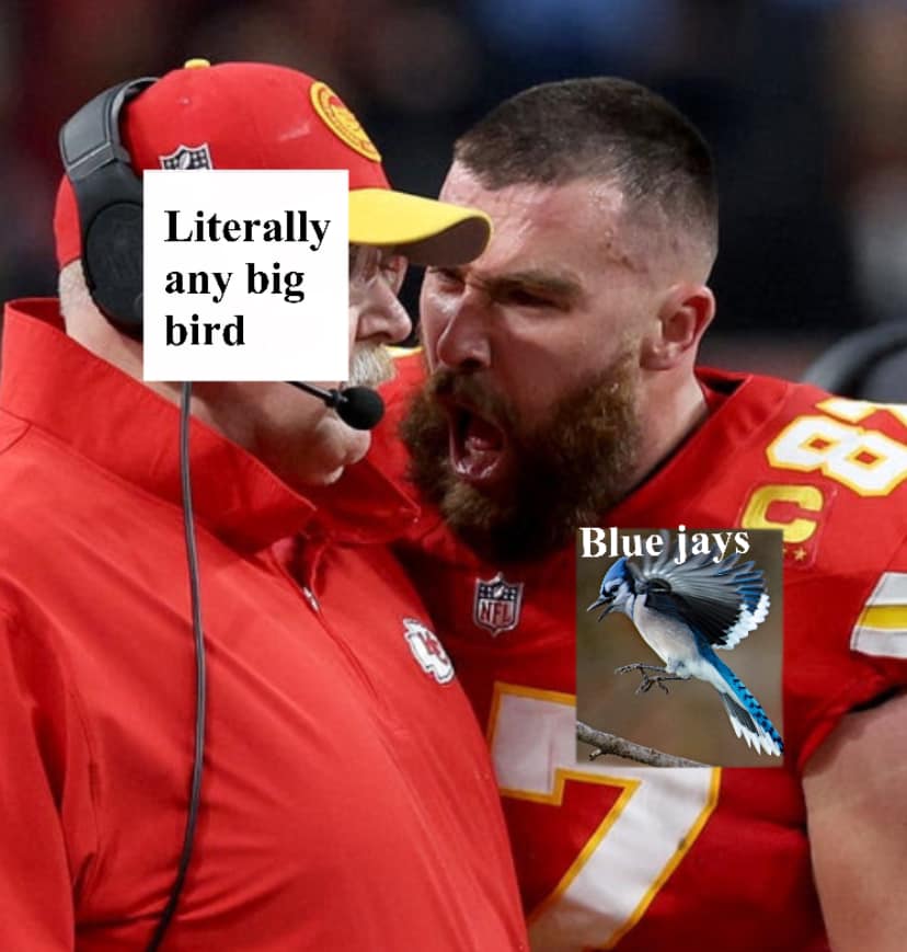any big bird - birding memes