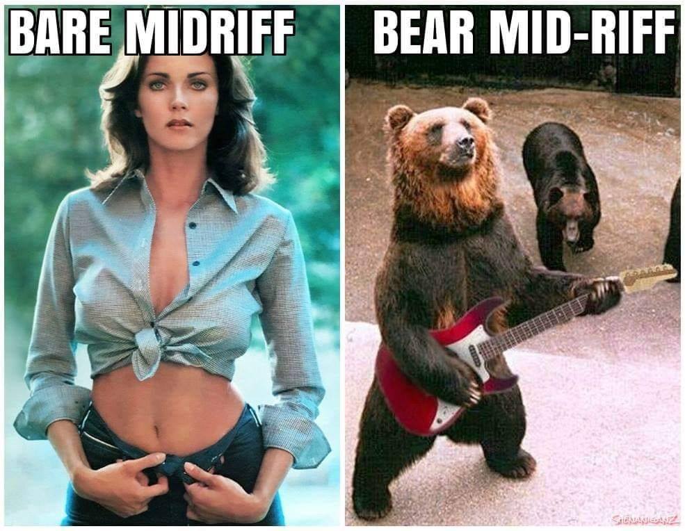 20 Bear Memes That Are Unbearably Hilarious and Adorable 21 bear midriff