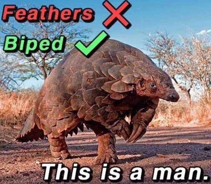 20 Hilarious Animal Memes: Because Sometimes Humans Just Aren't Funny Enough 3 biped - hilarious animal memes