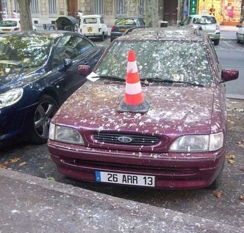 20 Unluckiest People On The Earth Will Make You Feel Better About Your Own Life 21 poop on car