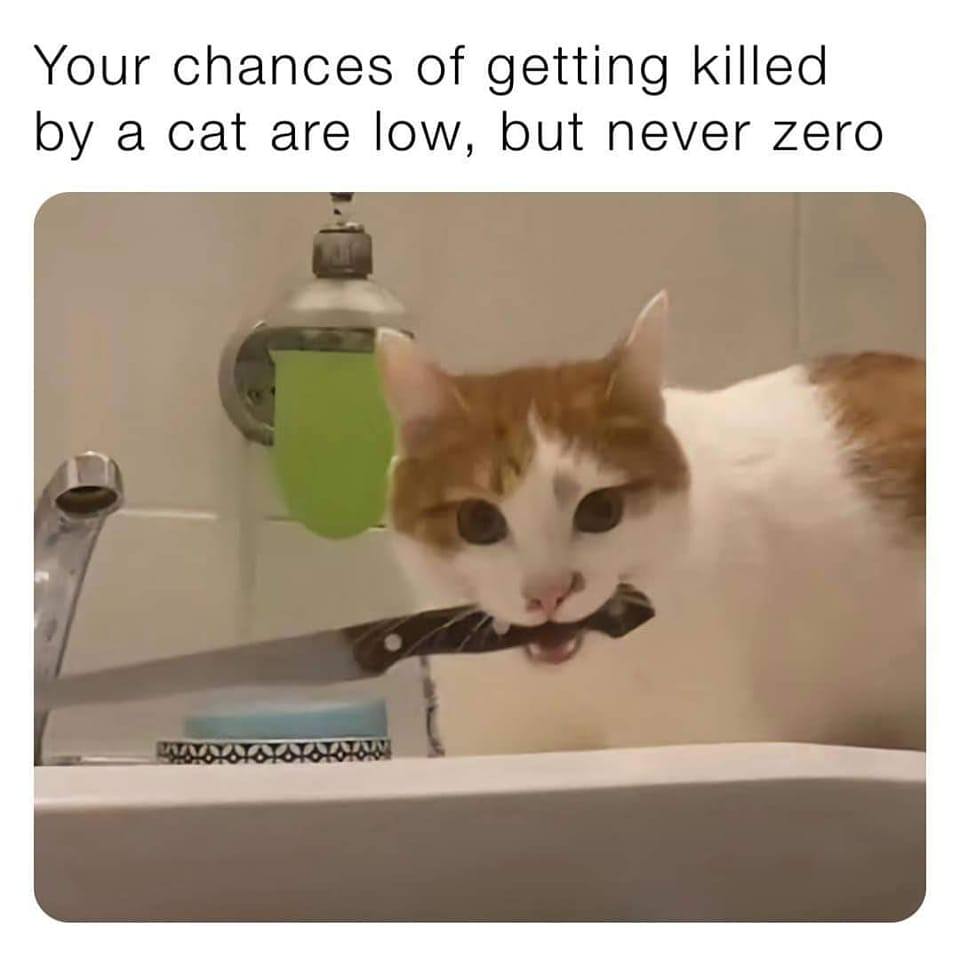 20 Images That Show Chances Of You Getting Killed By A Cat Are Low, But Never Zero 18 cat holding knife - getting killed by a cat