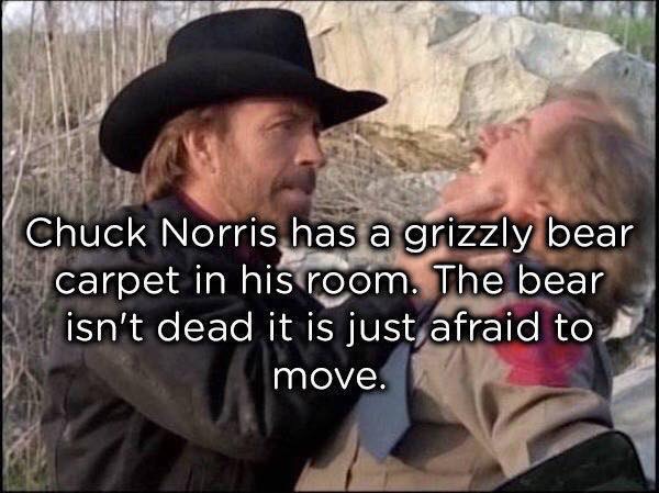 40 Chuck Norris Memes That Will Make You Chuckle 24 chuck norris has grizzly bear - chuck Norris memes