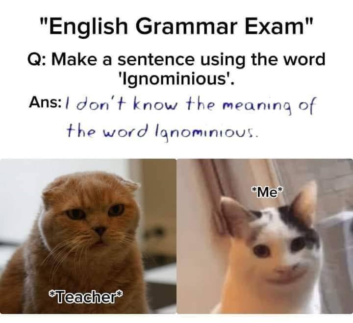 30 Brainy Memes That Will Blow Your Brains Out 28 english grammar exam