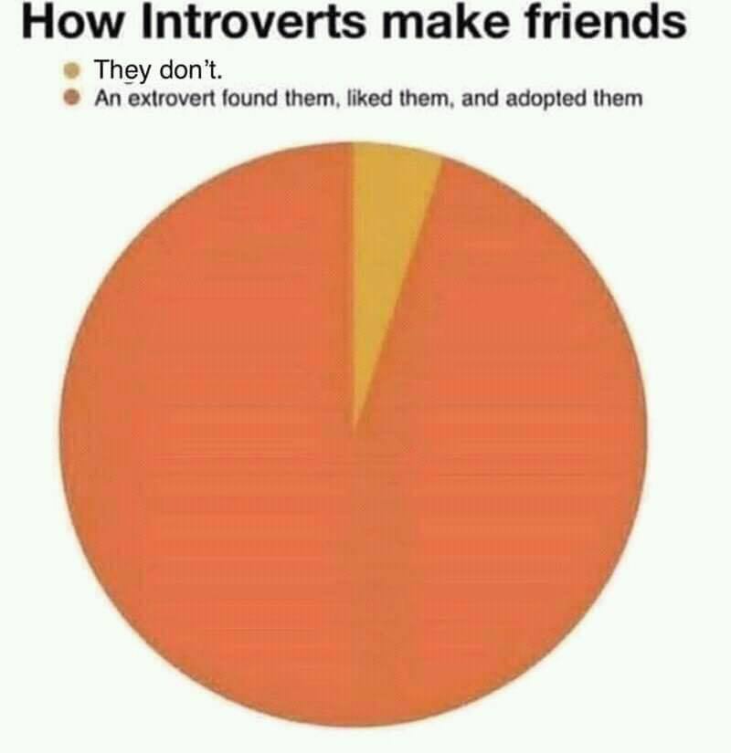 30 Brainy Memes That Will Blow Your Brains Out 23 how introverts make friends - brainy memes