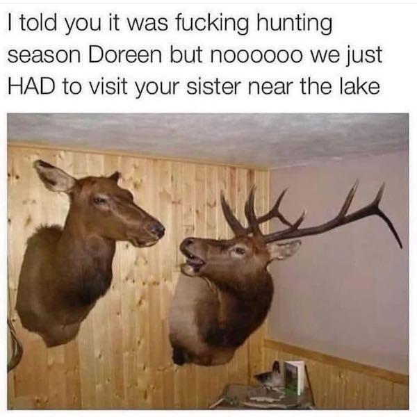 20 Hilarious Animal Memes: Because Sometimes Humans Just Aren't Funny Enough 8 hunting season - hilarious animal memes