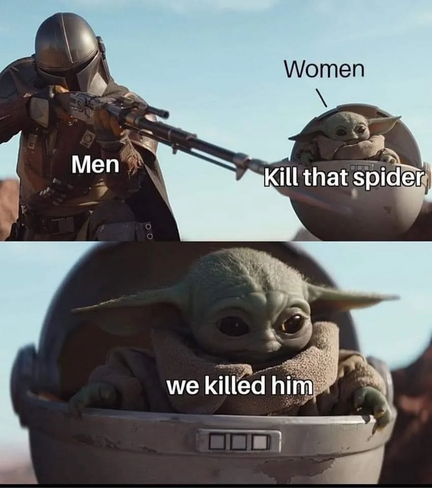 25 Women Memes to Mark International Women's Day 22 kill that spider
