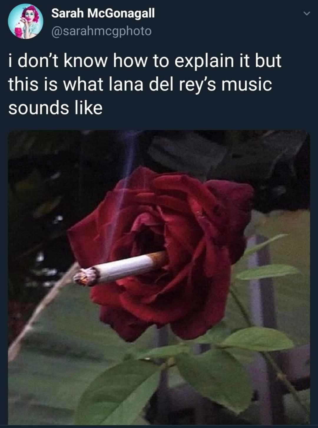 11 Memes You Can't Scroll Past Without a Chuckle 6 lana del music
