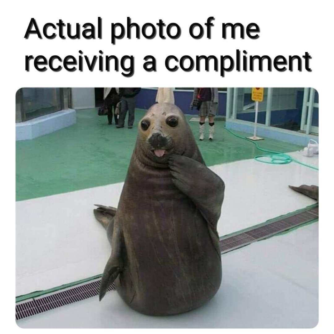 25 Compliment Memes: See How Guys React When They're Praised! 22 me receiving a compliment - compliment memes