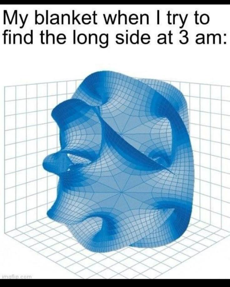 24 Best Sleep Memes for World Sleep Day 25 my blanket