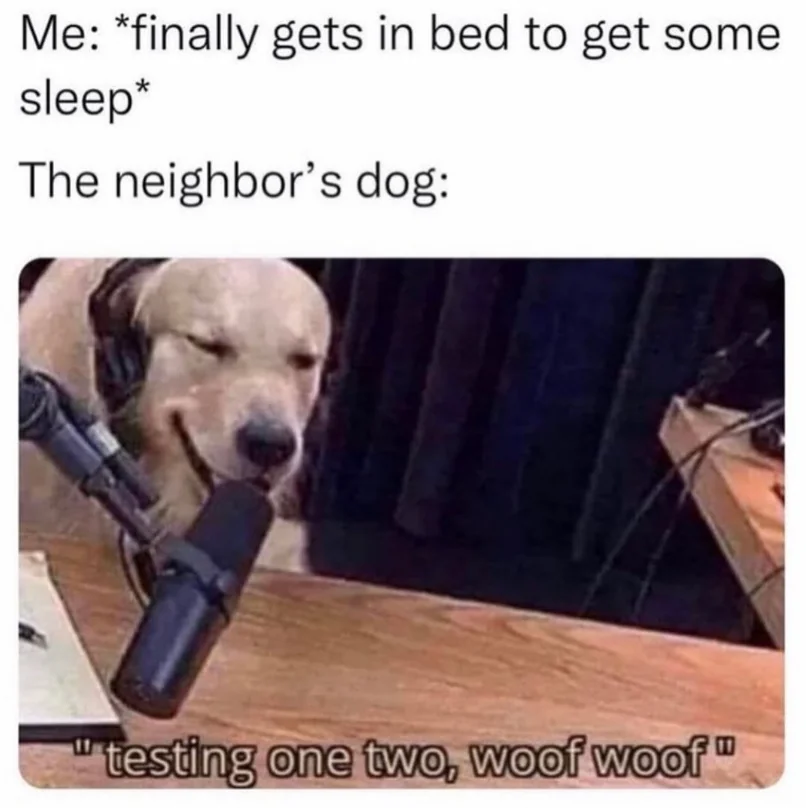 30 Dog Memes That Will Have You Howling With Laughter 24 finally gets in bed - dog memes