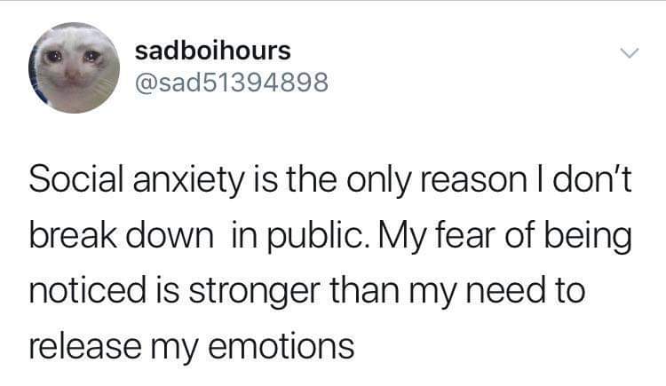 18 Sad Memes About Life: Laughing Through Life's Tears 14 social anxiety is the only reason - sad memes about life