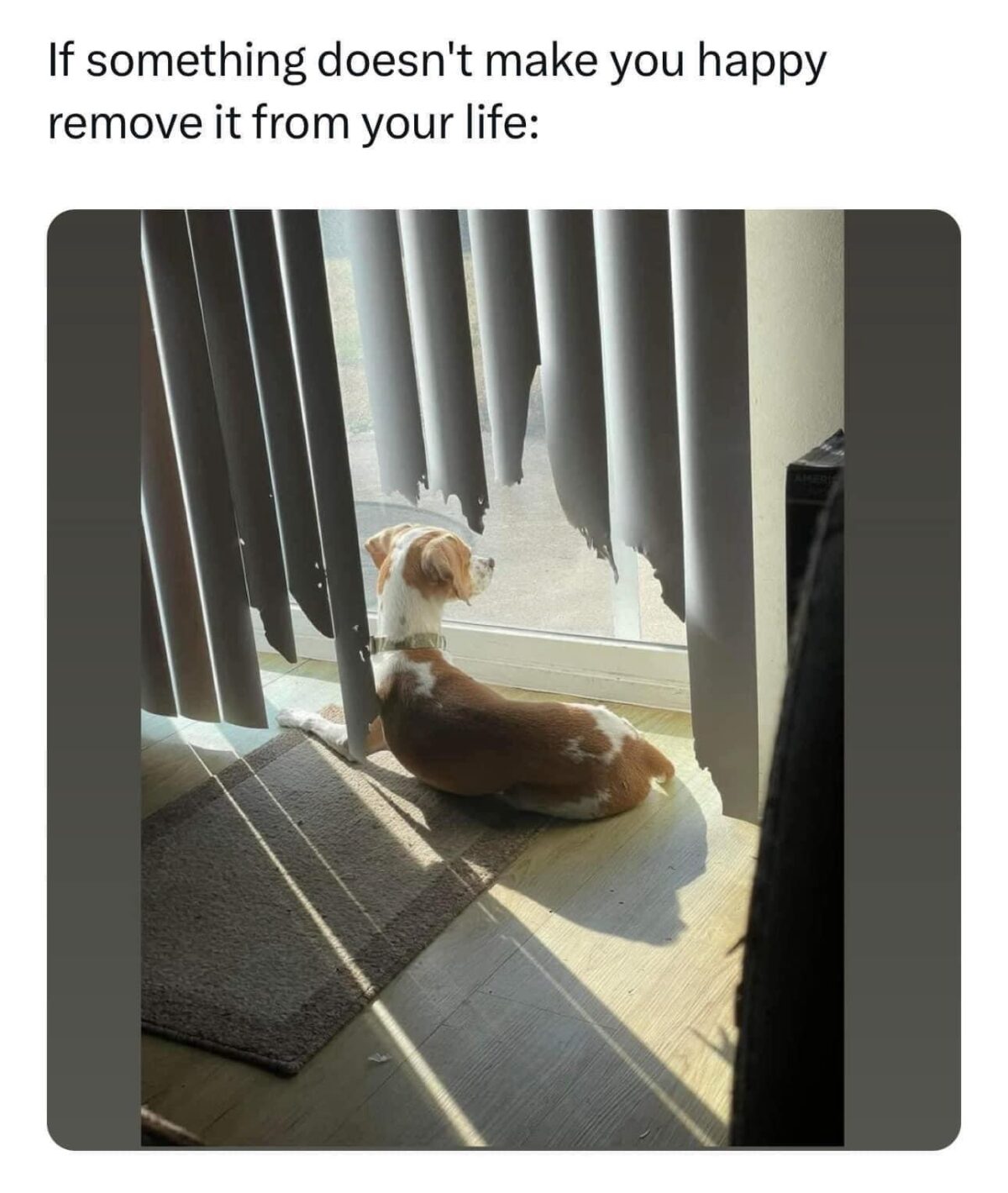 Sunday Laughs: 25 Memes for a Relaxing Weekend - Funny