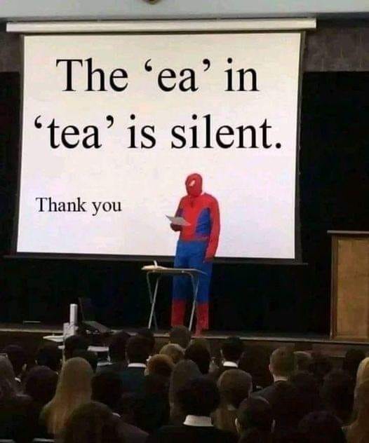 30 Brainy Memes That Will Blow Your Brains Out 24 tea - brainy memes
