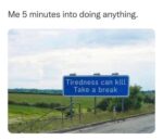Memes Lighting Up Screens Everywhere