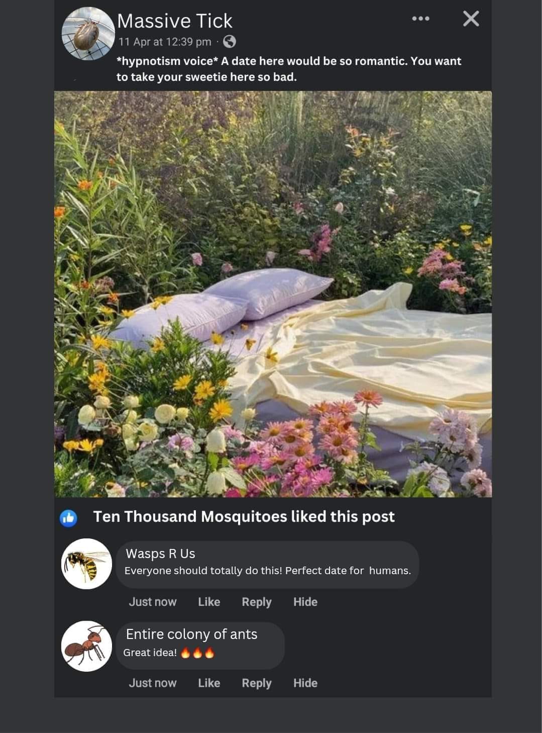 24 Nature Memes for Anyone Who Needs a Breath of Fresh Air 1 A date here would be raomntic - nature memes