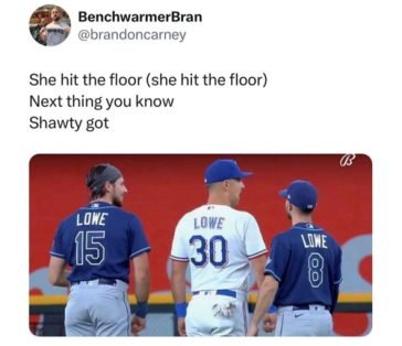 baseball memes funny - Chameleon Memes