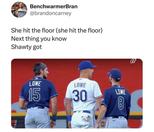 funny baseball memes - Chameleon Memes