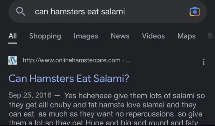 20 Funniest Hamster Memes for World Hamster Day 4 Can hamsters eat salami - Hamster Memes